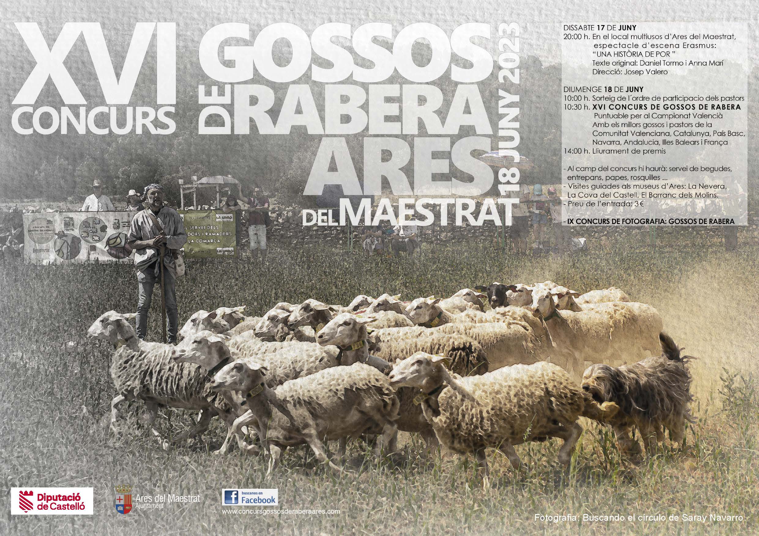 Ares celebrará el XVI Concurs de Gossos de Rabera el 18 de junio