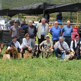 Ismael Boix, vencedor del XIII concurso de perros pastores de Ares // Ismael Boix, vencedor del XIII concurs de gossos de rabera d’Ares