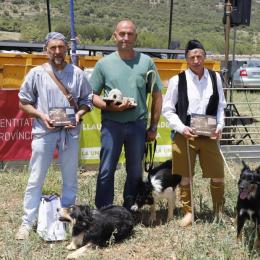 Juan Ramón Boj i Bali guanyen el Concurs de Gossos de Rabera d’Ares