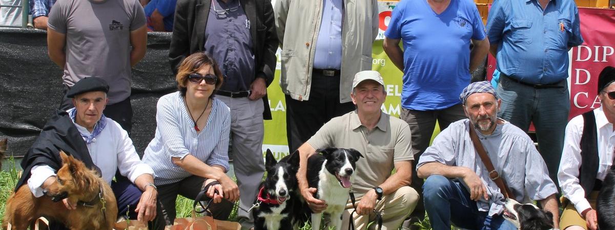 Ismael Boix, vencedor del XIII concurso de perros pastores de Ares // Ismael Boix, vencedor del XIII concurs de gossos de rabera d’Ares